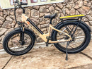 Large E-Bike 5'6"+ (Echo)