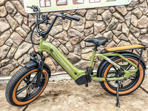Small E-Bike 5'6" (Echo)